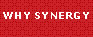 why Synergy